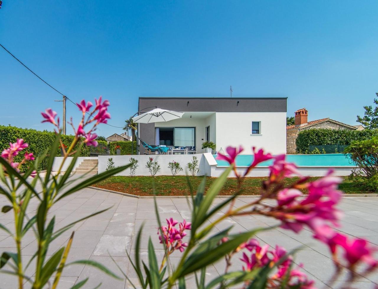Villa Oleandra Sveti Petar u Šumi Kültér fotó